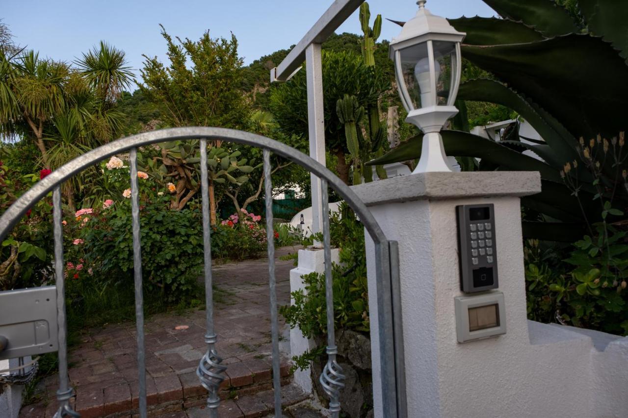 Barracudasuite Ischia Exterior foto