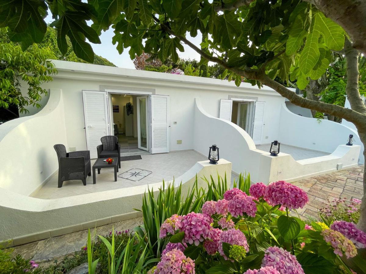 Barracudasuite Ischia Exterior foto